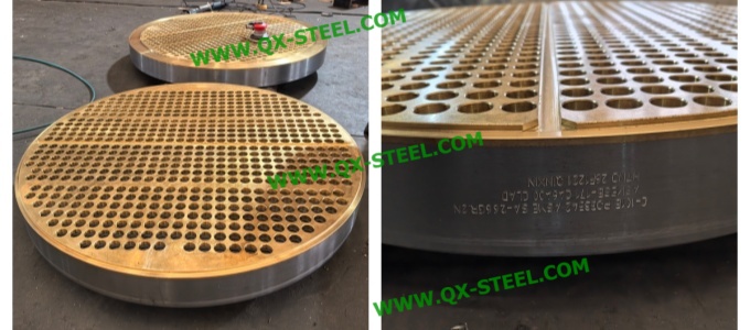 CLAD Tubesheet ( SA-266 / C46400)