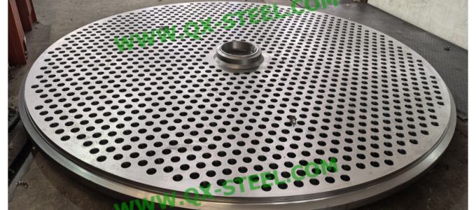 SA182 F304 Tubesheet